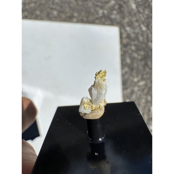 Gold on Quartz - Natural California Gold Specimen in Perky Display Box - #7 - Picture 5 of 7